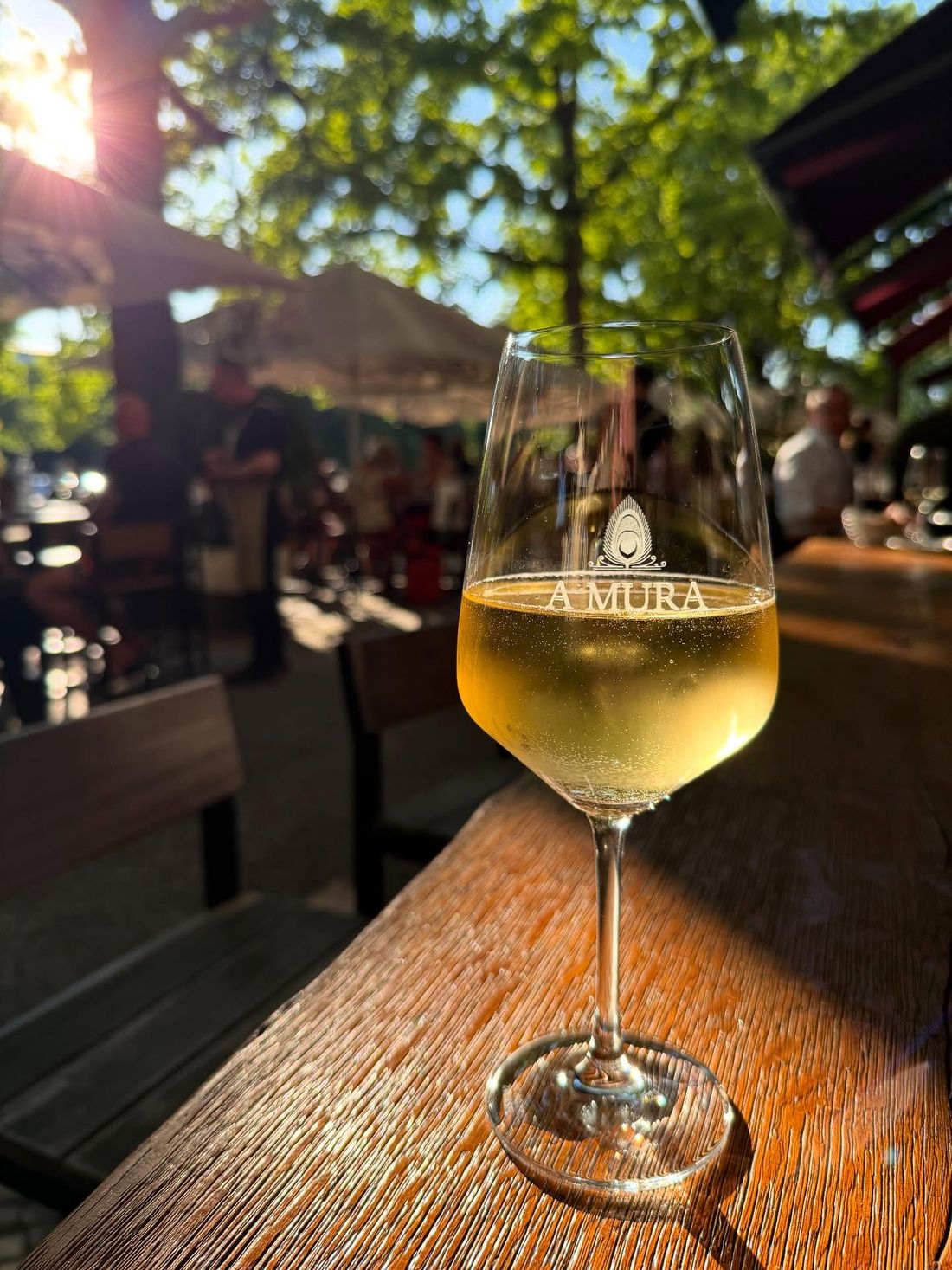 Ein Glas Weißwein auf der Terrasse